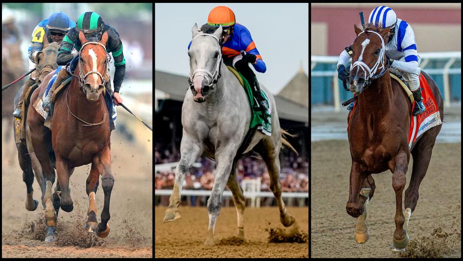 2025 Pegasus World Cup Cheat Sheet Equibase