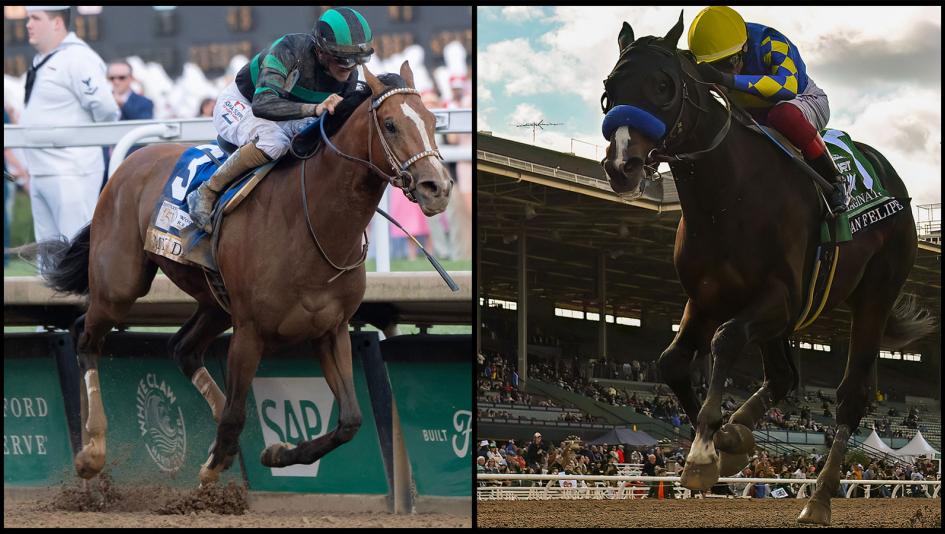 2024 Preakness Stakes Cheat Sheet Get to Know the Horses Equibase