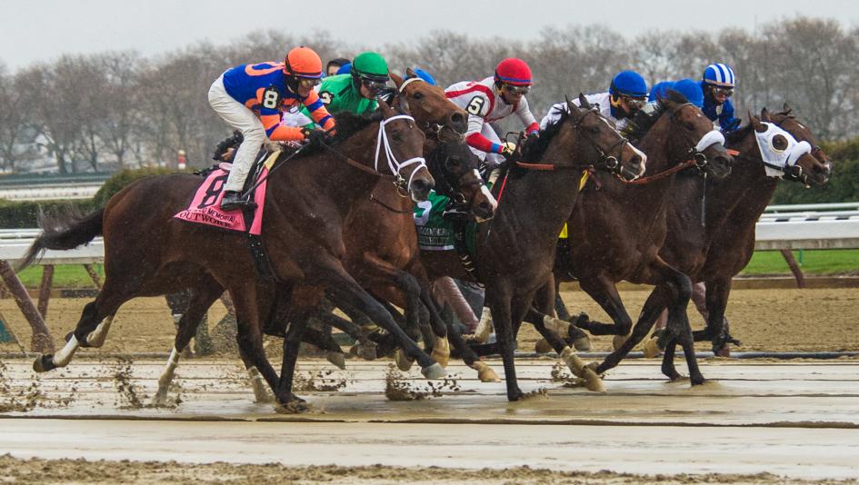 Wood Memorial 2024 Replay Race 10 Joan Ronica