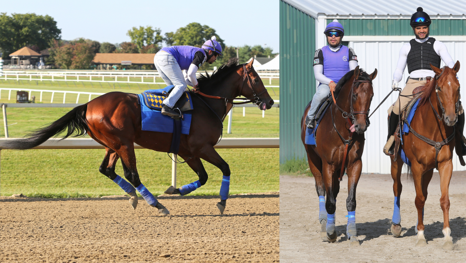 Equibase Horse Racing Horse Racing Entries Horse Racing Results Past Performances