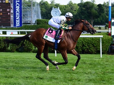 Summer Front - Horse Profile - BloodHorse